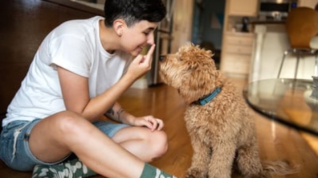 1 Growth Stock Down 80% to Buy Right Now