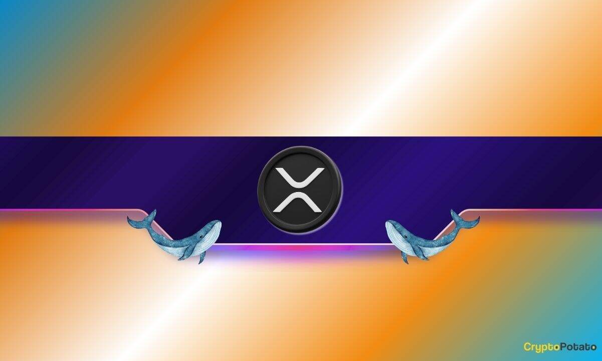 1,100,000,000 XRP in 1 Week: Do Ripple Whales Know Something We Don't?