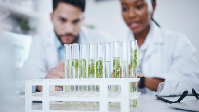 2 Biotech Stocks For Your June 2024 Watchlist