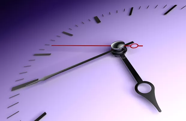 2025 Bull Market Persists, but Cracks Appear