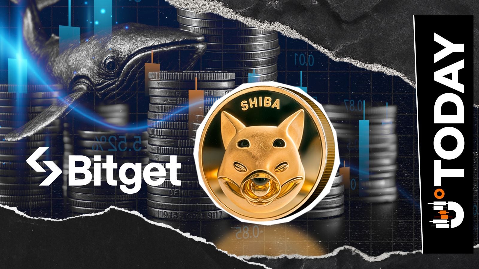 -203 Billion Shiba Inu (SHIB): Whale Sends 30% of Stack to Bitget After Long-Term Holding