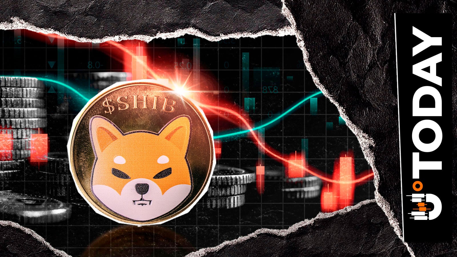 -207,000,000,000 Shiba Inu (SHIB) in 24 Hours, But It's Getting Better on Exchanges