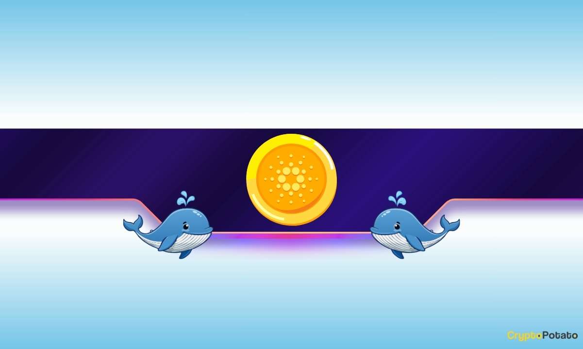 220,000,000 ADA in 1 Week: Do Cardano Whales Know Something We Don't?