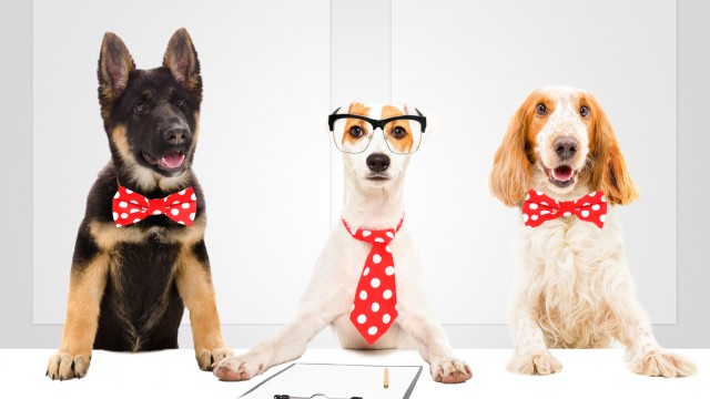 3 Buyable Berkshire Dividend Dogs From May, Plus 6 To Watch