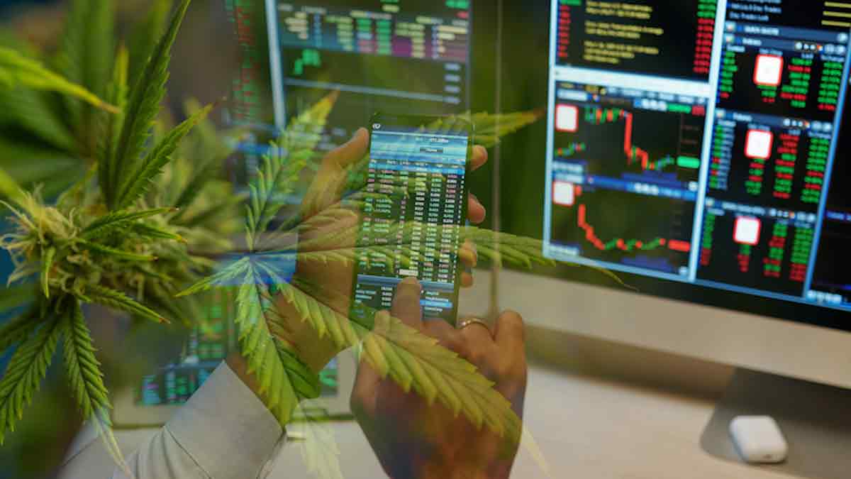 3 Of The Best Cannabis Stocks In The Entire Sector To Know About