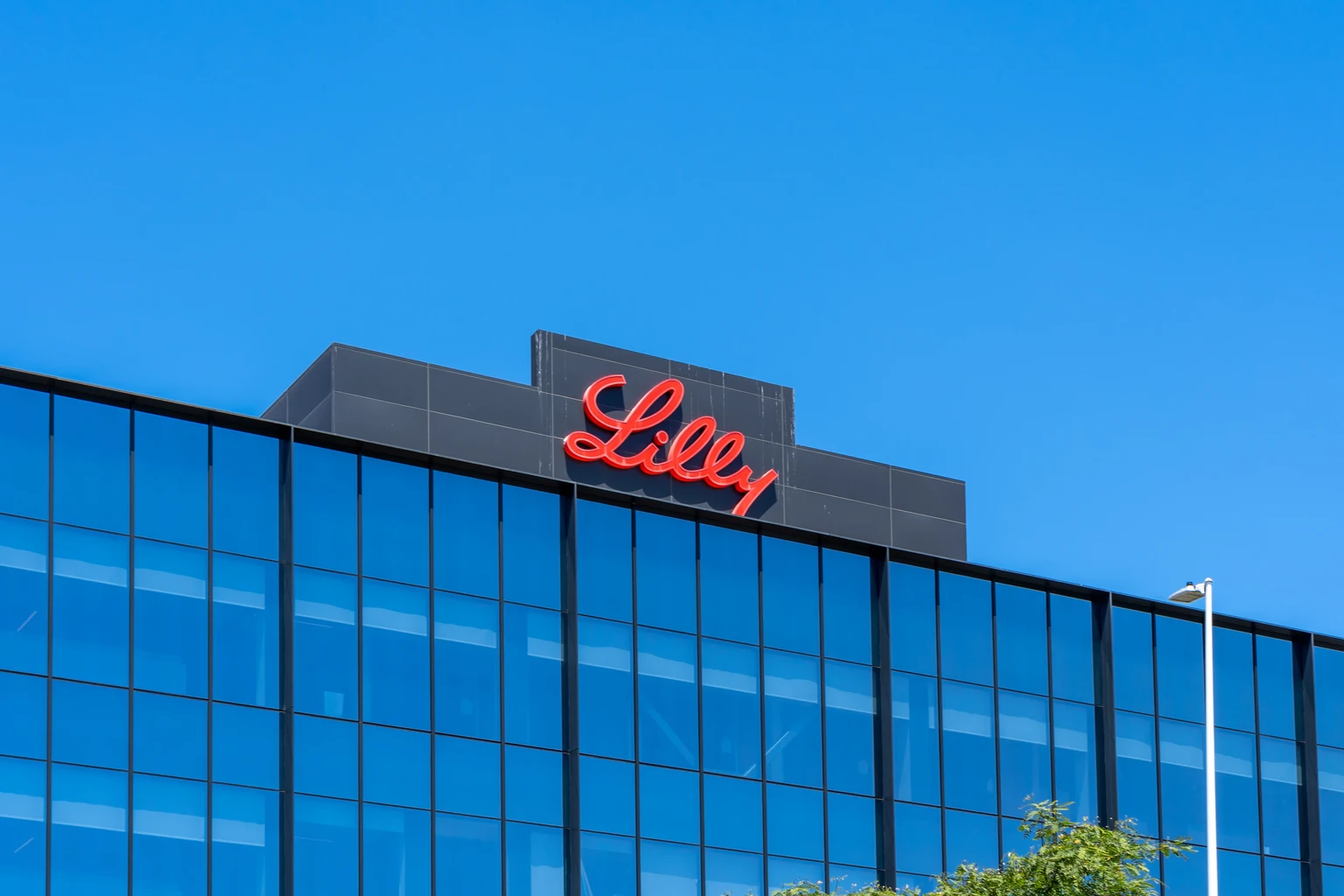 LLY