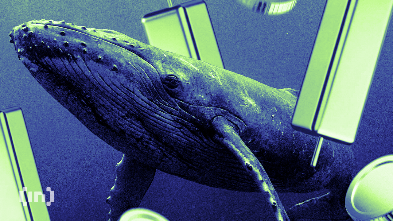 3 Privacy Coins Crypto Whales are Buying and Selling Ahead of February 2026