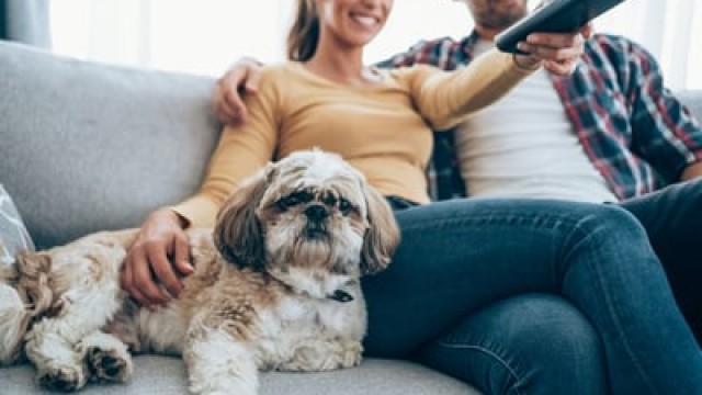 3 Reasons Roku Stock Could Bounce Back This Summer