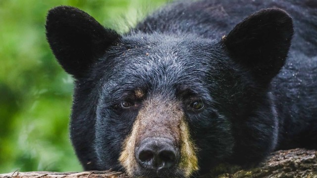 3 Reasons ServiceNow Stock Is Plunging Today