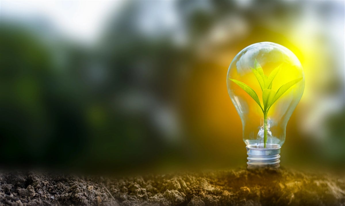 https://images.financialmodelingprep.com/news/3-renewable-energy-stocks-that-could-gush-as-oil-stays-20250902.jpg