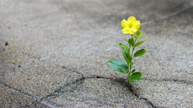 3 Stocks in Up-and-Coming Sectors Worth Betting On Big-Time