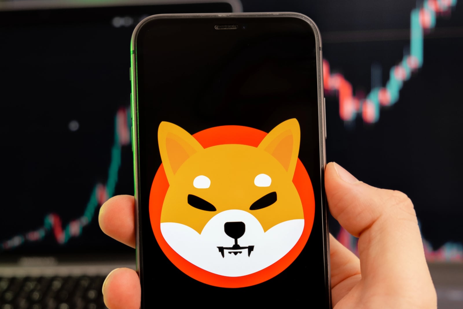 +3,402% Surge in Shiba Inu (SHIB) Future Flow Is Not What You Think