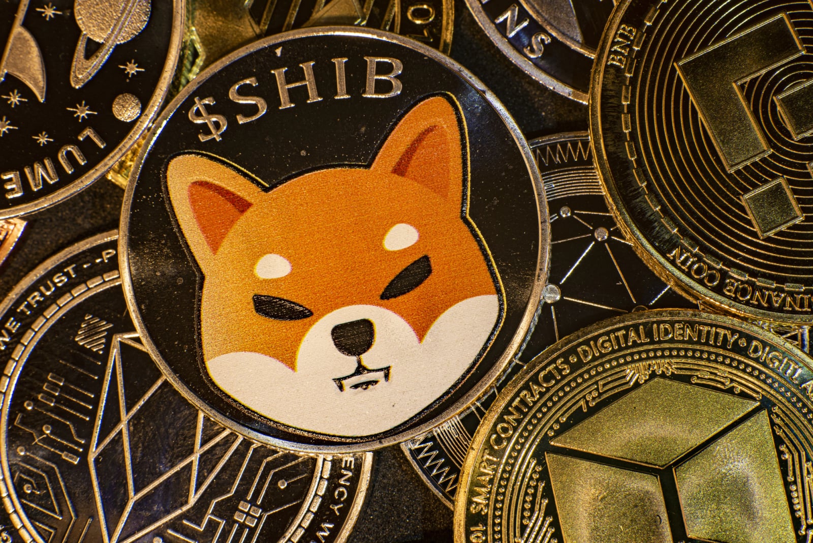 429 Billion Shiba Inu (SHIB) in 24 Hours: Volumes Flip Substantially