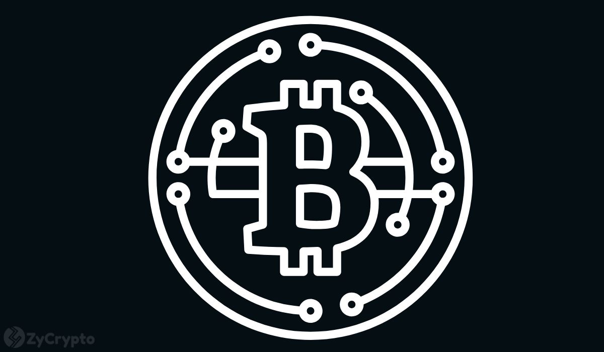 5% of People Own BTC