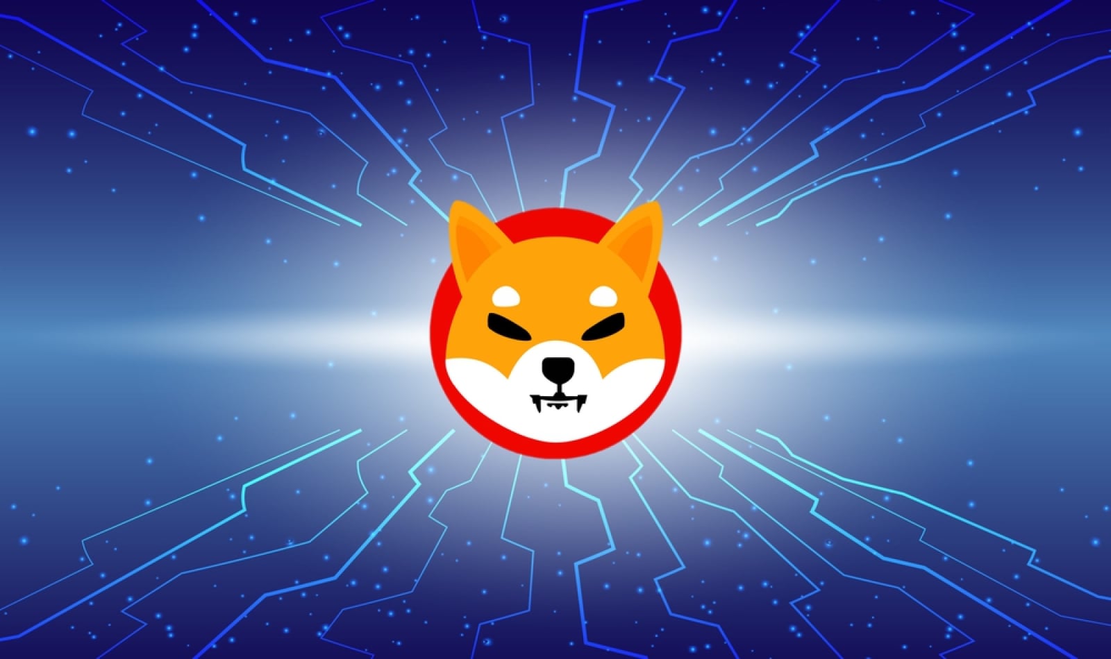 50 Billion Shiba Inu (SHIB) in 24 Hours: Bulls Are in Control of Netflows