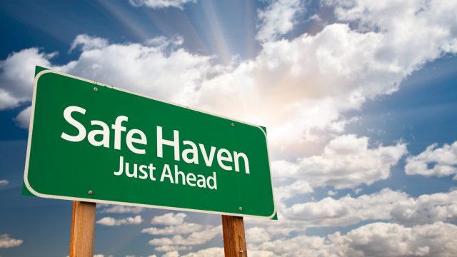 7 Safe-Haven Stocks to Weather Any Storm