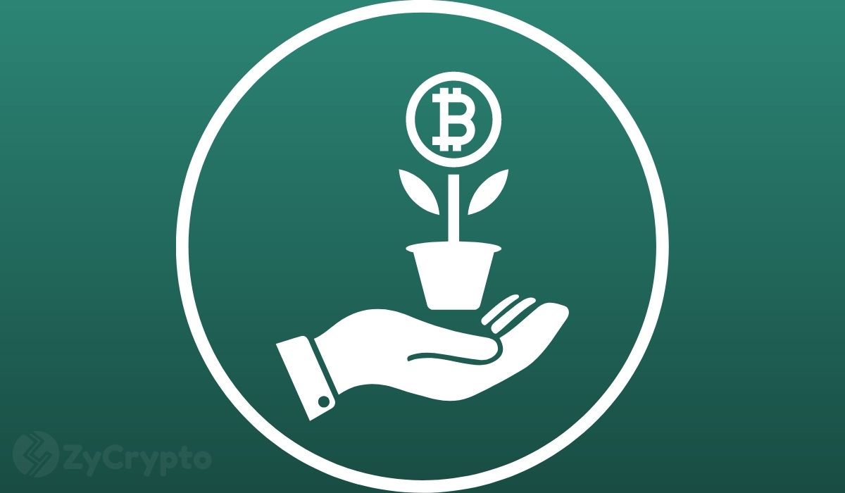 “70% of All My Wealth Is in Bitcoin,” Asserts Mexico's Richest Man Amid $1M Price Prediction