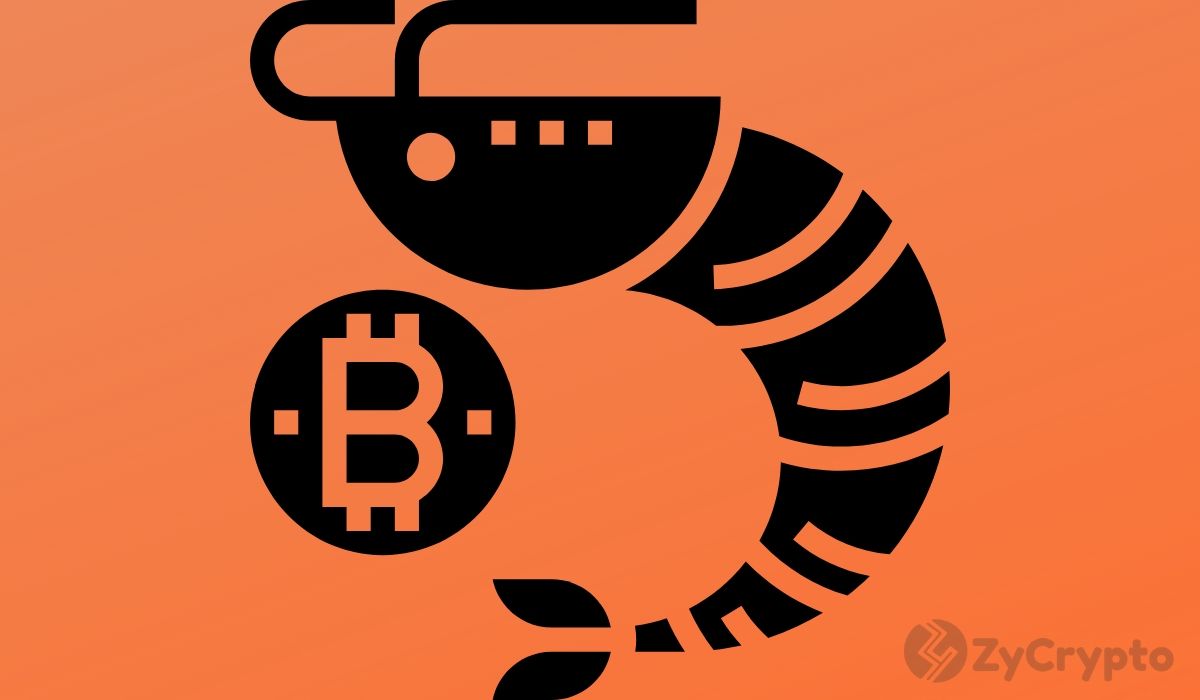 $760 Million Bitcoin Flood Hits Exchanges as 10,000 BTC Move Shakes Market