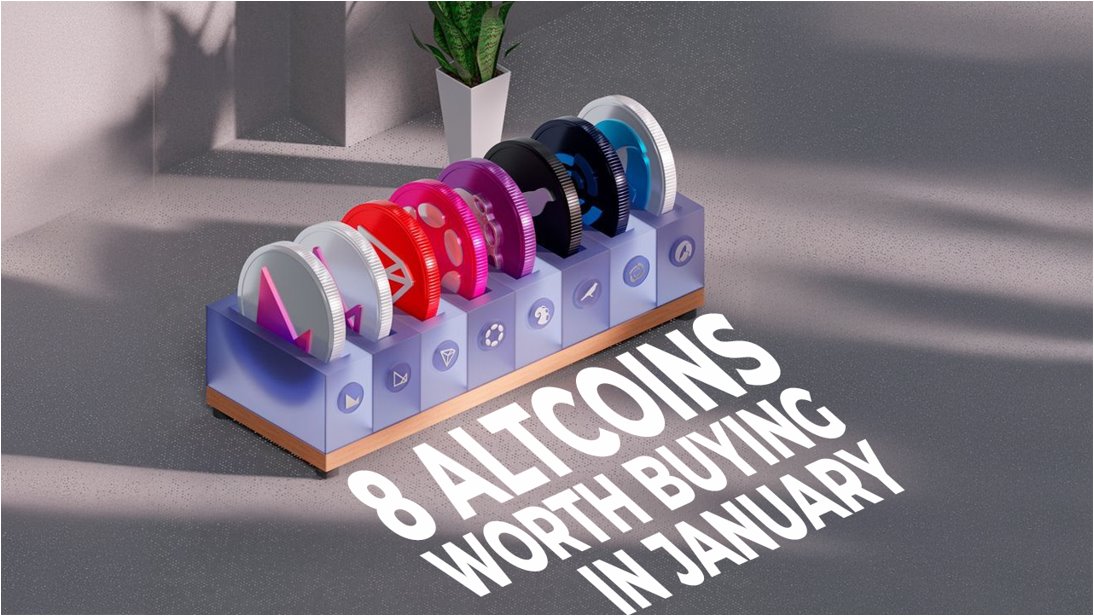 Article image for 8 Top Picks for the Best Coins to Buy and Hold for Long Term Wealth Building