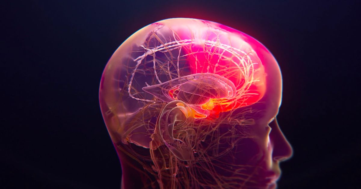 Actinogen Medical targets Alzheimer’s treatment gap in projected $20BN market