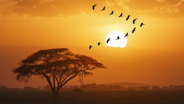Africa Stocks Take Lead For Global Equities Market In 2024
