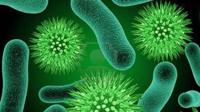 After Plunging -86.93% in 4 Weeks, Here's Why the Trend Might Reverse for HilleVax (HLVX)