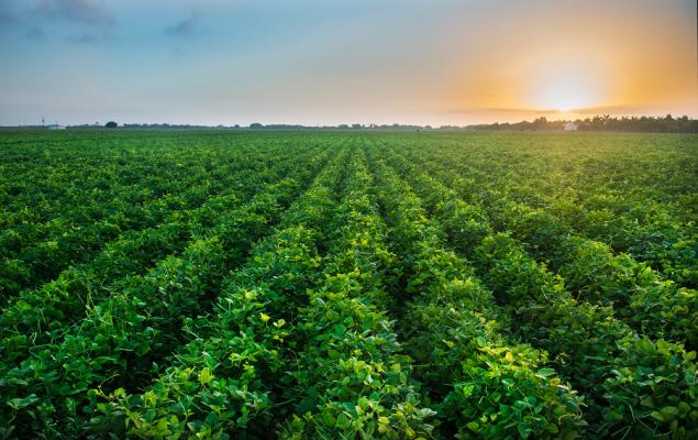 AGCO Advances Autonomy & Precision Ag Tech to Boost Farmer Efficiency
