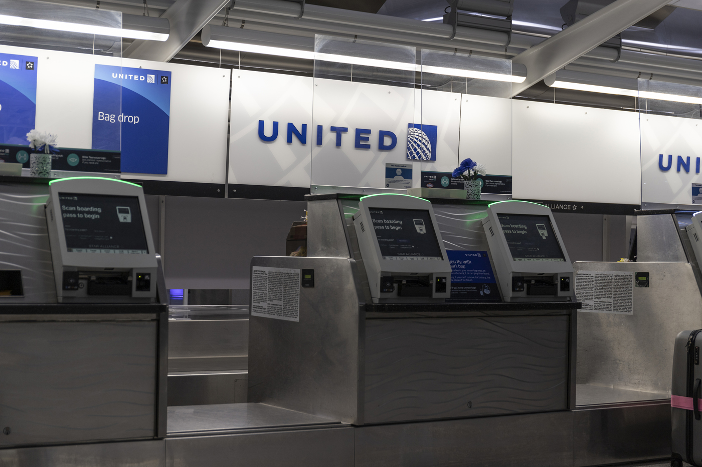 Airline Stock Draws Options Traders Ahead of Earnings