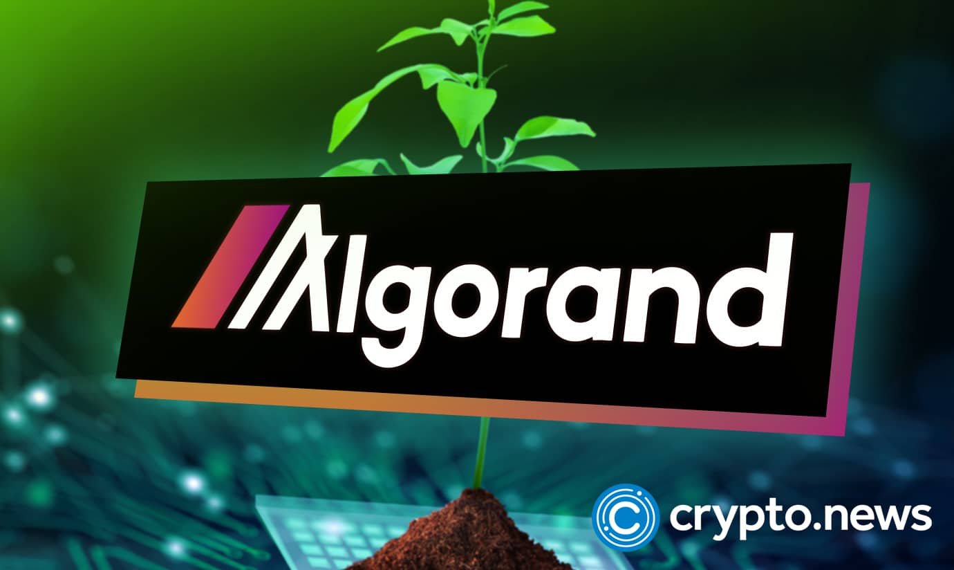 Algorand Surges 50% in a Month After Google's Quantum AI Team Flags It as a Blockchain Security Model