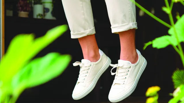 Allbirds Stock Surges Amid Tech Pivot, AI Rebrand