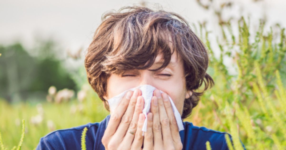 Allergy Therapeutics to showcase pollen and food allergy progress
