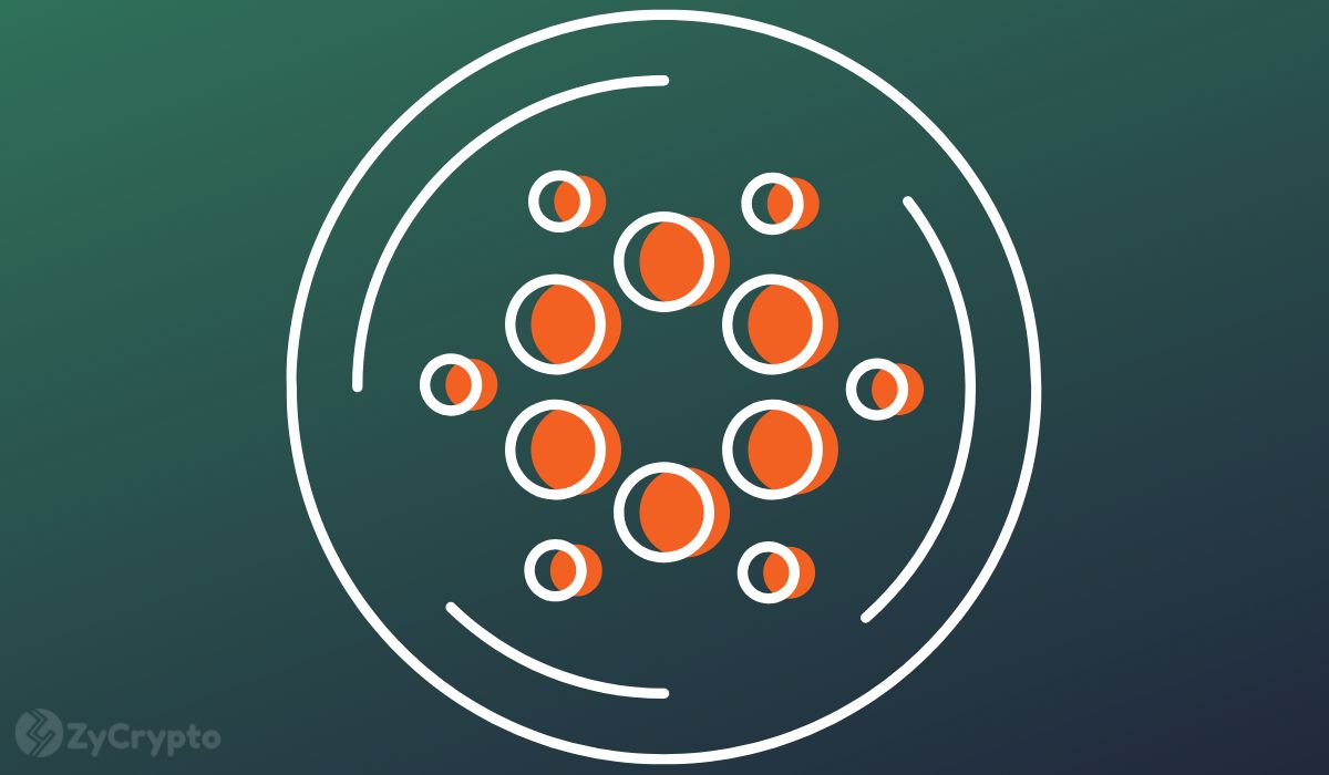 Almost 300 Million Cardano (ADA) Scooped by Whales in a Week, Fueling Bullish Outlook