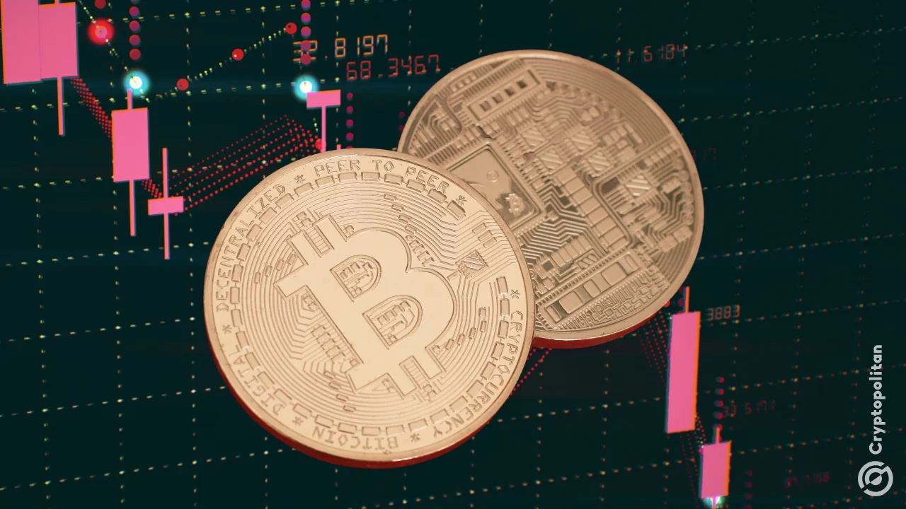 Almost 40% of altcoins linger near lows while BTC and ETH lead market rebound