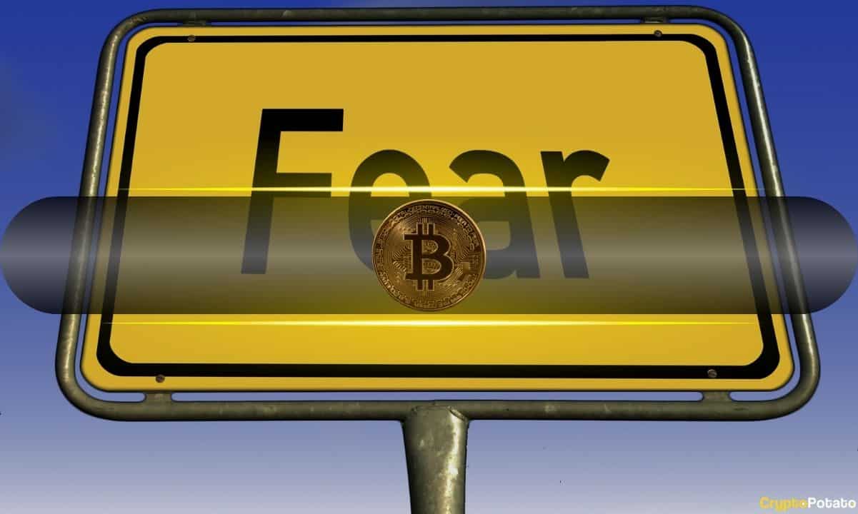 Analyst: Extreme Bitcoin Bearish Sentiment Signals Buying Zone