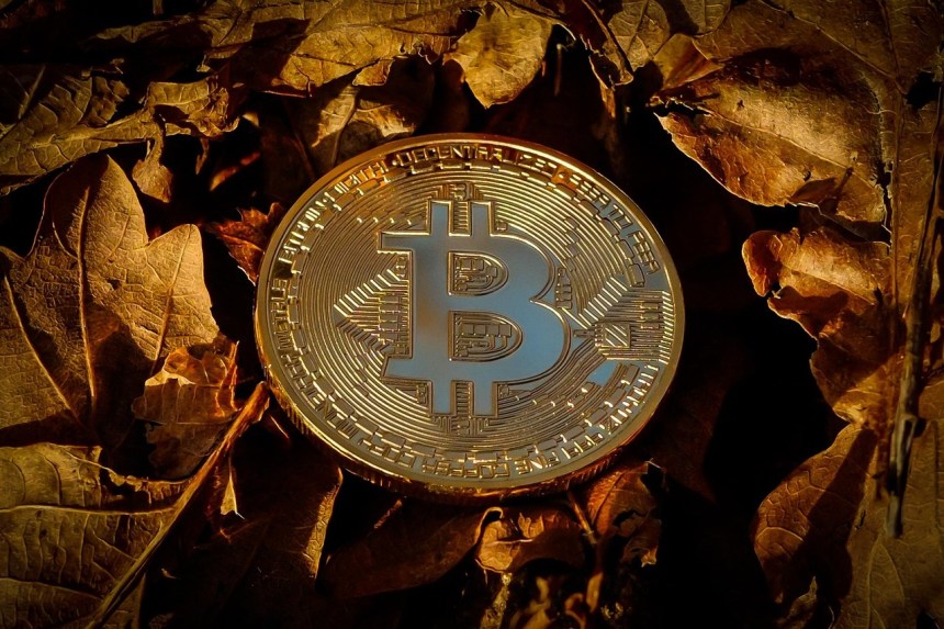 Analyst Who Called Bitcoin Top Says Price Is Going To $200,000, But Should You Buy Now?
