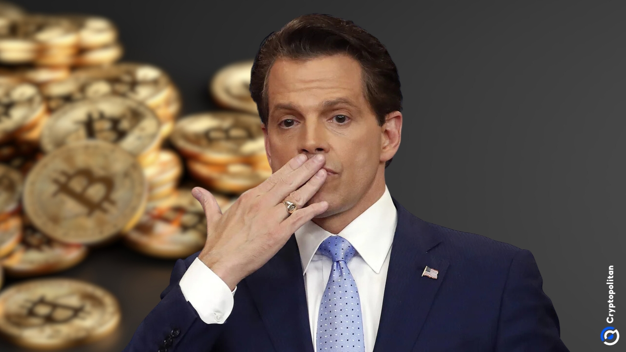 Anthony Scaramucci believes bitcoin will climb back to $100,000