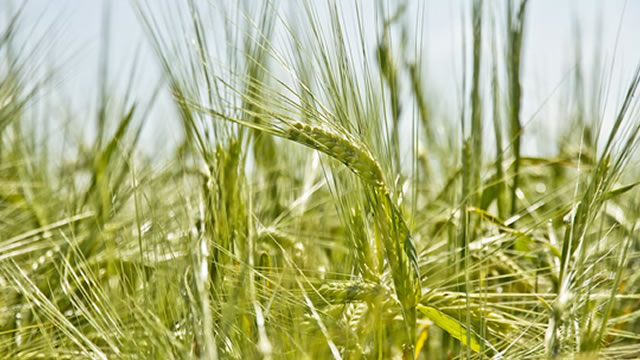 Archer Daniels Dips 14% YTD: Should You Buy, Sell or Hold ADM?