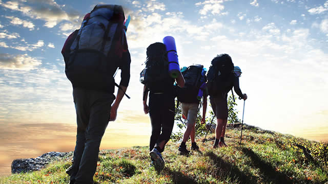 Are Consumer Discretionary Stocks Lagging Johnson Outdoors (JOUT) This Year?