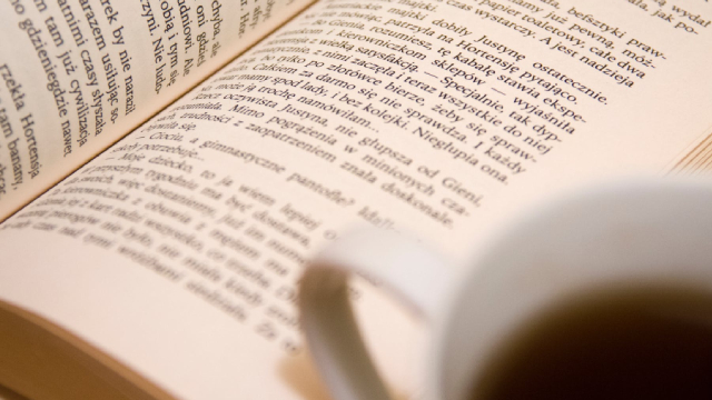 Are Investors Undervaluing Perdoceo Education (PRDO) Right Now?