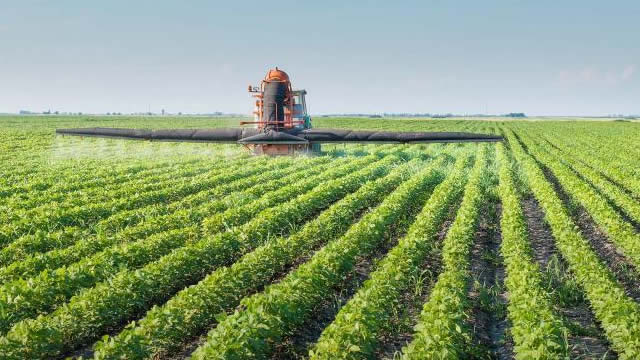 Are Investors Undervaluing Yara International ASA (YARIY) Right Now?