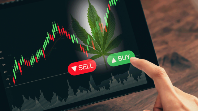 Are These 3 Marijuana Stocks To Buy And Hold The Rest Of 2024