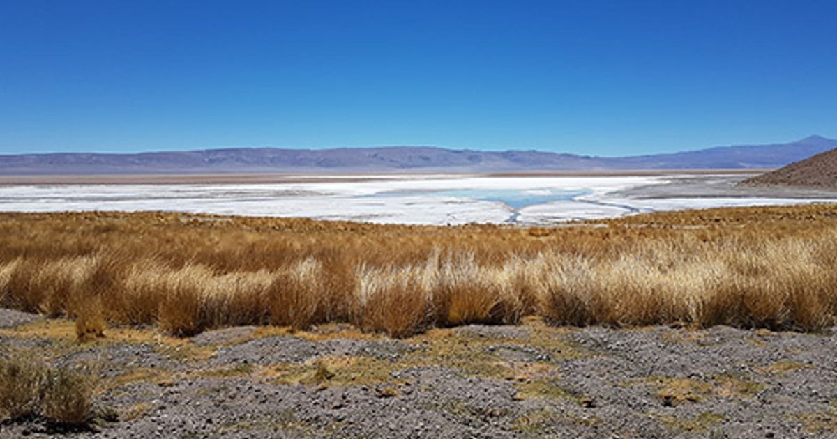 Argentina Lithium & Energy CEO shares insights into resource estimate at Rincon West property – ICYMI