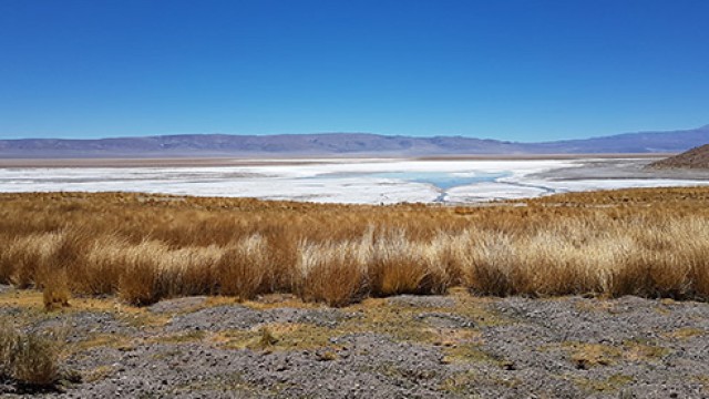 Argentina Lithium & Energy pursues major projects amid rising industry demand