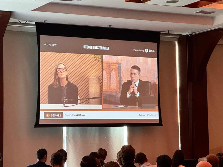 Ark Invest's Cathie Wood says bitcoin will thrive amid ‘deflationary chaos' created by AI and innovation