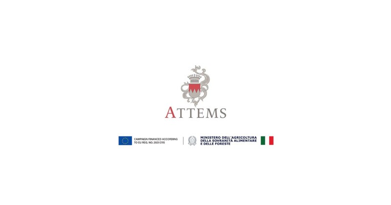 Attems releases the 2025 vintage of its Sauvignon Blanc