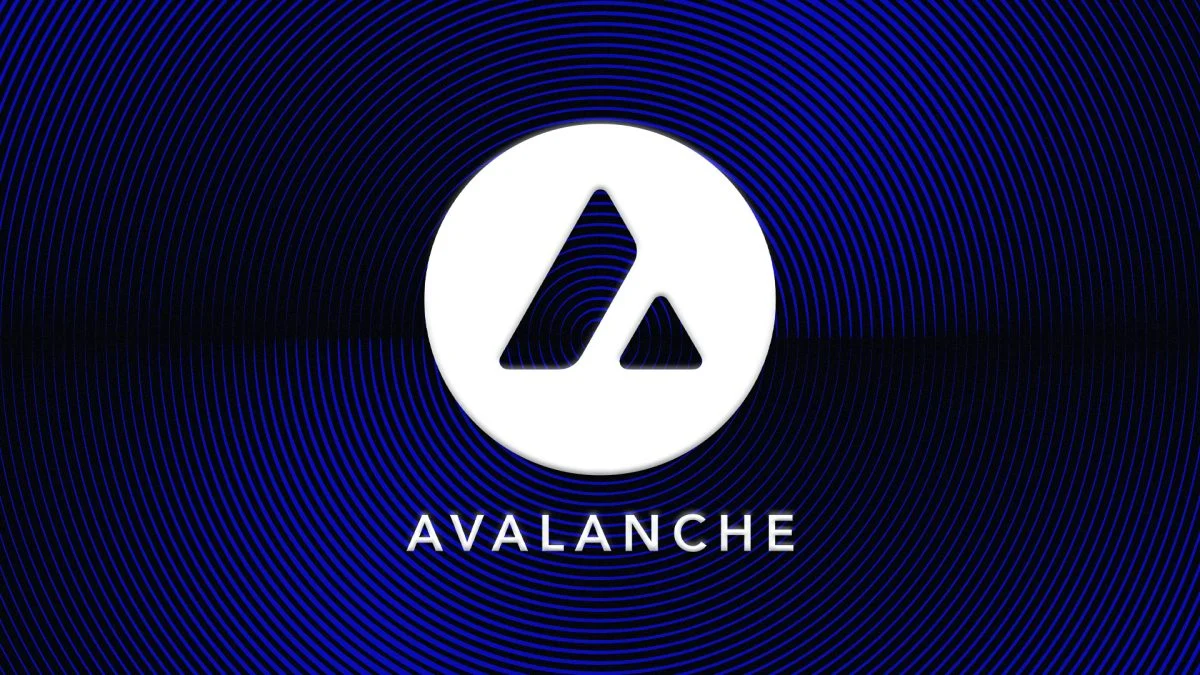 Avalanche Treasury stock plunges 73% since debut as company's AVAX holdings lose value