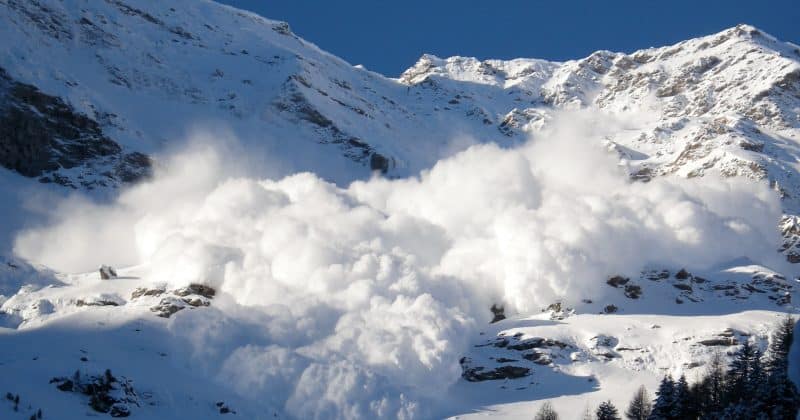 Avalanche's Team1 launches Builder Grants program with up to $30,000 per project