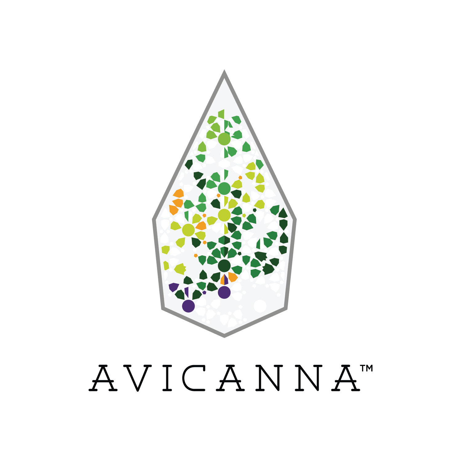 AVCNF