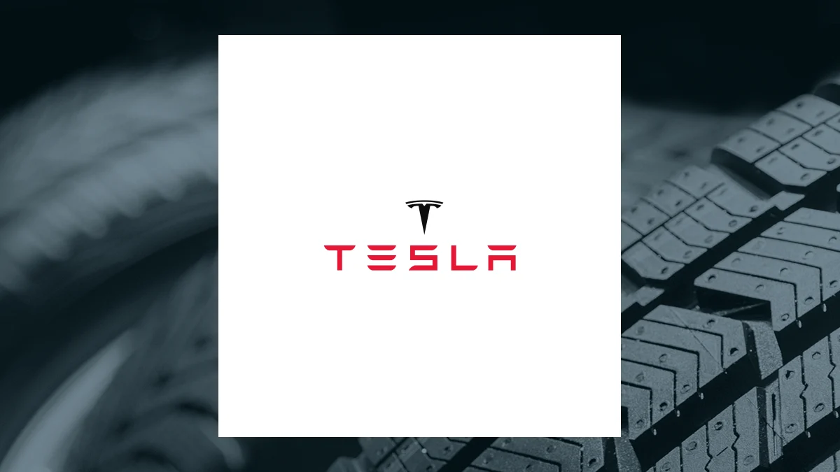 BayBridge Capital Group LLC Cuts Holdings in Tesla, Inc. $TSLA