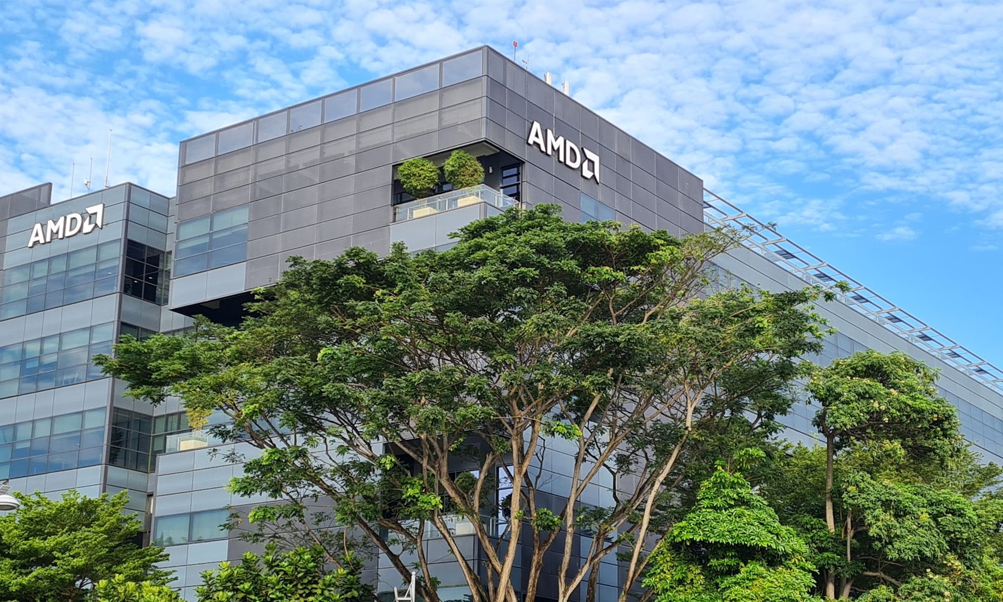 BDF-Gestion Dumps 39,000 AMD Shares Worth $6.4 Million